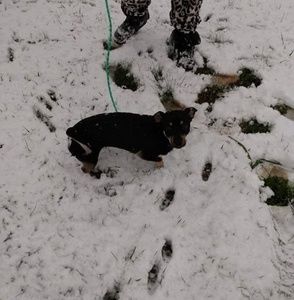 Meet your Posher, Shiann